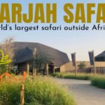 The Sharjah Safari: A Wild Adventure in the Heart of the UAE Sharjah Safari