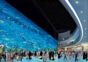 Dubai Mall's Incredible Attractions 