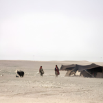 Desert Group Camp 1 Desert Group