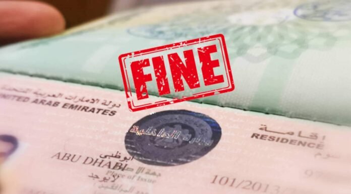 Visa Fine Check in the UAE Visa Fine Check in the UAE