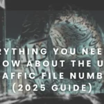 UAE Traffic File Number (2025 Guide) Everything You Need to Know About the UAE Traffic File Number (2025 Guide)