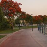 Exploring the Beautiful Parks in Ajman | Nature Lover’s Guide 2025 Al Rashidiya Park in Ajman