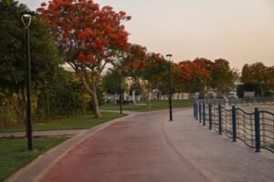Al Rashidiya Park in Ajman