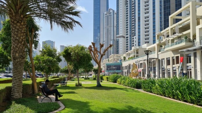 Bay Avenue Park: Dubai's Best-Kept Green Secret