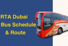 Dubai 88 Bus Route: Stops, Timings & Full Guide Dubai 88 Bus Route