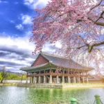 South Korea Visit Visa from Dubai Guide South Korea Visit Visa from Dubai Guide