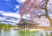 South Korea Visit Visa from Dubai Guide South Korea Visit Visa from Dubai Guide