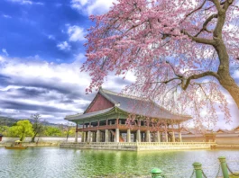 South Korea Visit Visa from Dubai Guide
