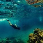 The Best Snorkeling and Diving Spots in Seychelles The Best Snorkeling and Diving Spots in Seychelles