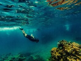 The Best Snorkeling and Diving Spots in Seychelles