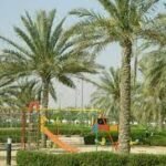 Al Rashidiya Ladies Park Ajman: Moments of Calm Al Rashidiya Ladies Park Ajman