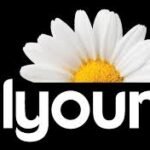 Al Youm Group – Company Profile, Services and Business Overview Al Youm Group