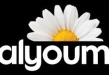 Al Youm Group – Company Profile, Services and Business Overview Al Youm Group