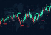 Best Copy Trading Strategies in the UAE for New and Professional Traders Best Copy Trading Strategies in the UAE