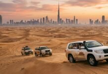 Top 10 Free Places to Visit in Abu Dhabi Top 10 Free Places to Visit in Abu Dhabi