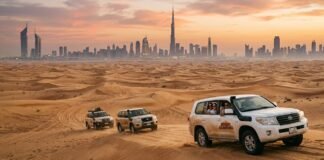 Top 10 Free Places to Visit in Abu Dhabi Top 10 Free Places to Visit in Abu Dhabi