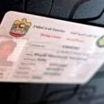 Remove Black Points on UAE License: Complete Guide Remove Black Points on UAE License Complete Guide